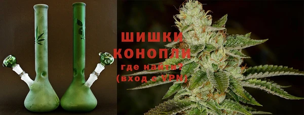 гашик Заводоуковск