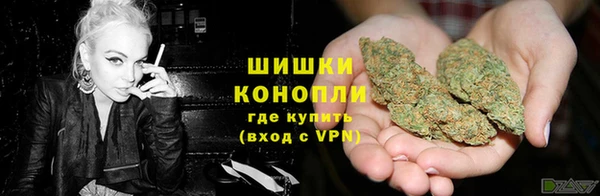 гашик Заводоуковск