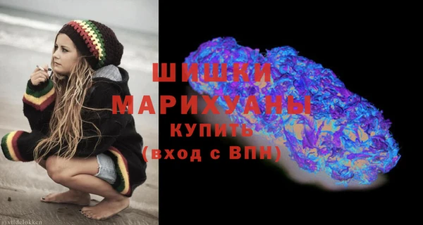 гашик Заводоуковск