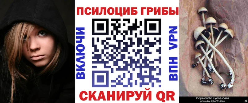Купить закладки  Сальск  Галлюциногенные грибы GOLDEN TEACHER 